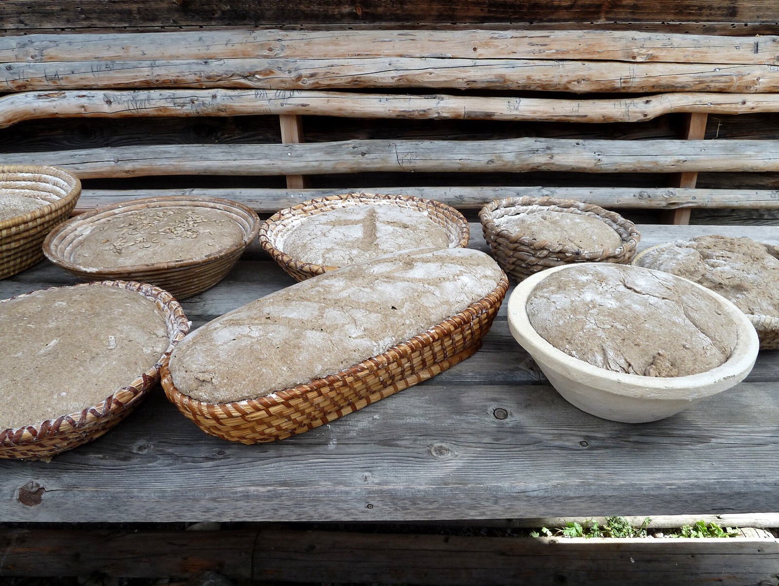 Shaped loaves of dough proofing in round and oval cane baskets on a weathered wooden bench.